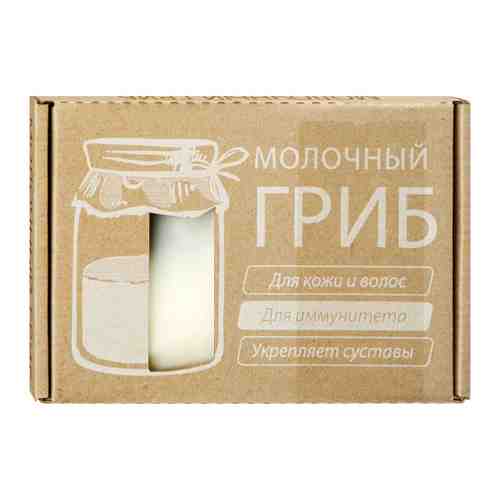 Биокультура Молочный гриб закваска кисломолочная арт. 3449317