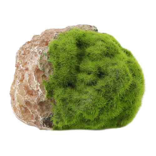 Декорация Aqua Della Moss Stone Камень с мхом для аквариума 12x9.5x10.5 см арт. 3457990