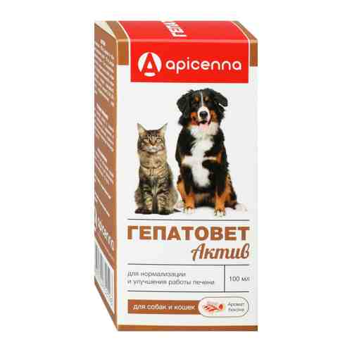 Добавка кормовая Гепатовет Актив Apicenna для кошек и собак 100 мл арт. 3458419