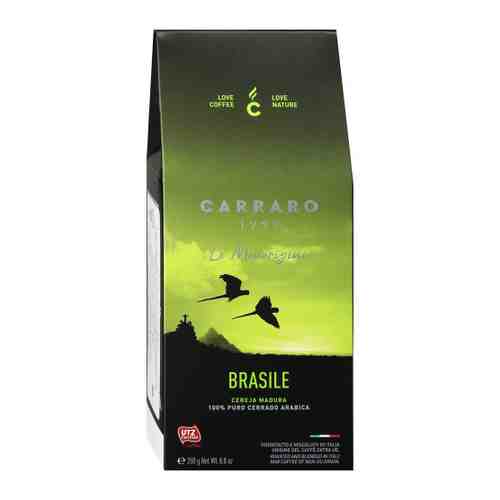 Кофе Carraro Brasile Arabica 100% молотый 250 г арт. 3447133