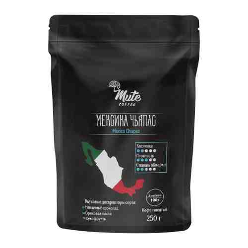 Кофе Mute Мексика Чьяпас молотый 250 г арт. 3514501