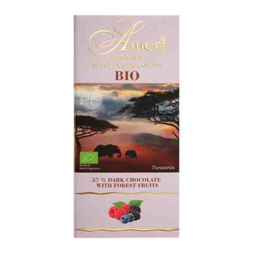 Шоколад Ameri Bio горький с лесными ягодами 100 г арт. 3409736