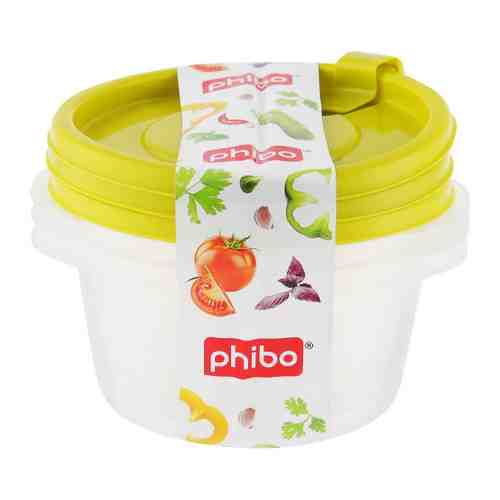 Контейнер пищевой Phibo с клапаном фрэш зеленый 0.44 л 3 штуки арт. 3446184