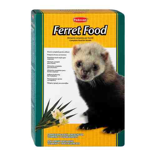 Корм Padovan Ferret Food комплексный основной для хорьков 750 г арт. 3404447