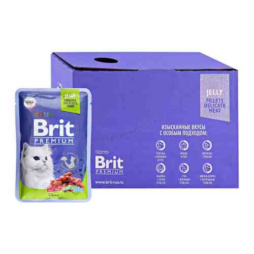 Корм влажный Brit Premium ягненок в желе для взрослых кошек 14 штук по 85 г арт. 3519695