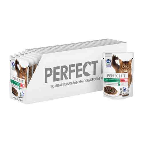 Корм влажный Perfect Fit полнорационный с говядиной в соусе для стерилизованных кошек 28 штук по 75 г арт. 3479968