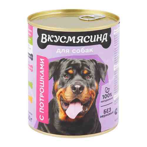 Корм влажный ВКУСМЯСИНА с потрошками для собак 850 г арт. 3456793