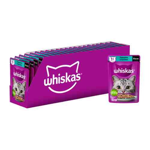 Корм влажный Whiskas полнорационный желе с говядиной и кроликом для взрослых кошек 28 штук по 75 г арт. 3456207