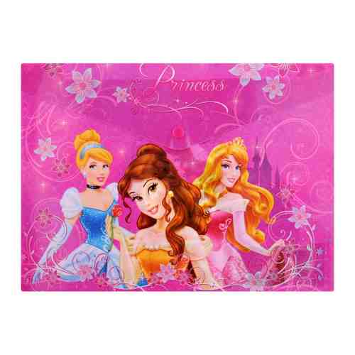 Папка Princesses для тетрадей на кнопке А4 арт. 3521526