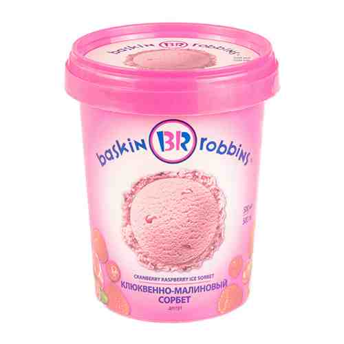 Мороженое Баскин Роббинс сорбет клюквенно-малиновый 350 г арт. 3274615
