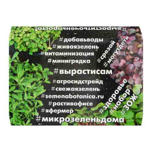 Набор для выращивания АгроСидсТрейд микрозелень Рукола 3.5 г арт. 3517934