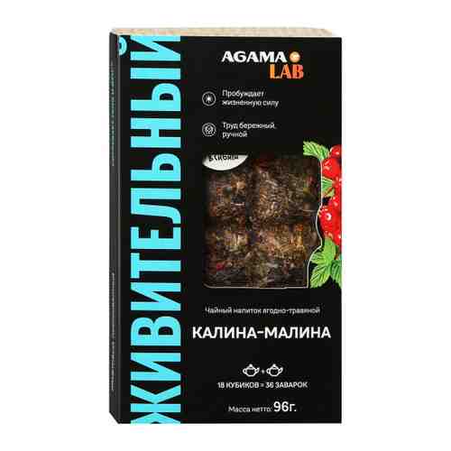 Напиток Agama LAB чайный ягодно-травяной Калина-Малина живительный 96 г арт. 3490420