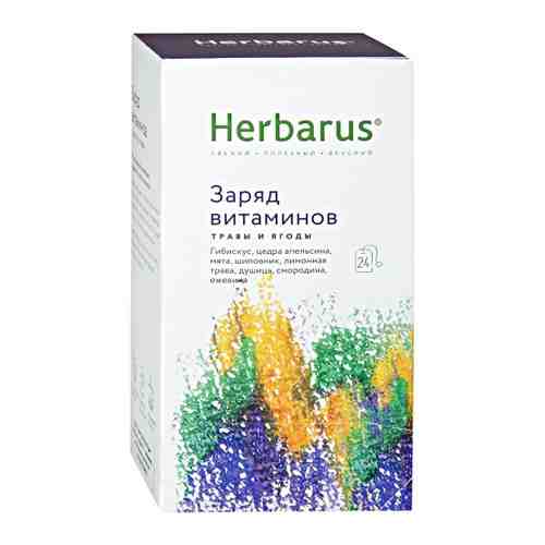 Напиток Herbarus Заряд витаминов чайный 24 пакетика по 1.8 г арт. 3397201