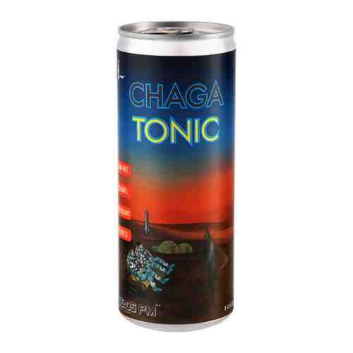 Напиток Ms.Odri Chaga Tonic бомбический газированный 0.2 л арт. 3472030