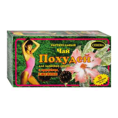 Похудей Чай растительный с ароматом ежевики (30 фильтр-пакетов по 2 г) арт. 3393971