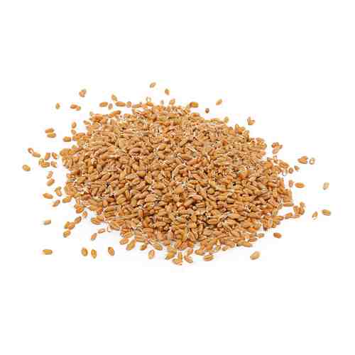 Проростки пшеницы Лето 150 г арт. 3050323