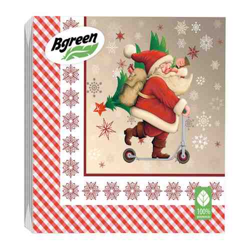 Салфетки бумажные Bgreen Дед Мороз и самокат 3 слоя 33х33см 20 штук арт. 3416750