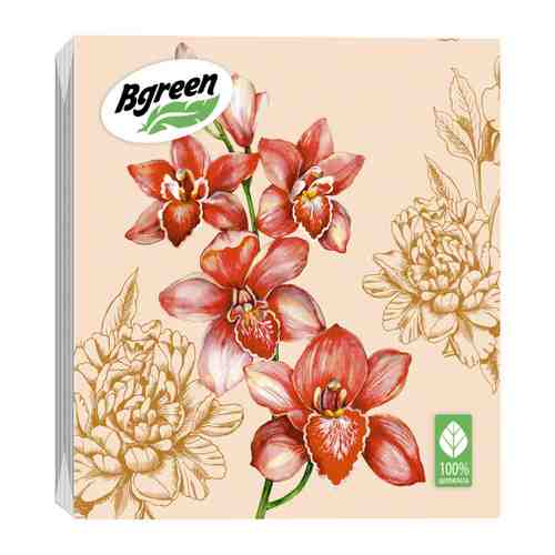 Салфетки бумажные Bgreen Орхидеи 3 слоя 33х33 см 20 штук арт. 3404729