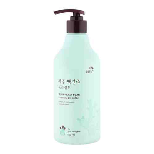 Шампунь для волос Flor de Man Jeju Prickly Pear Hair Shampoo с кактусом 500 мл арт. 3428394