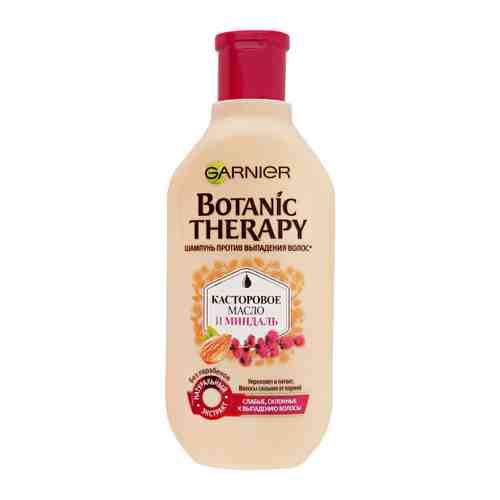 Шампунь для волос Garnier Botanic Therapy Касторка 400 мл арт. 3319872