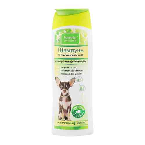 Шампунь Pchelodar Professional с маточным молочком для короткошерстных собак 250 мл арт. 3459723