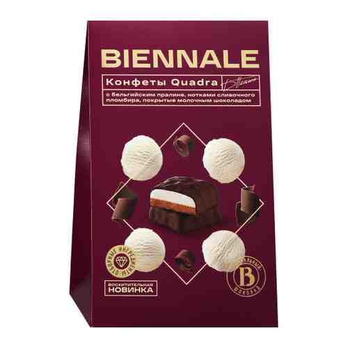 Конфеты Biennale Quadra Plombire глазированные бельгийское пралине нотки сливочного пломбира и молочный шоколад 160 г арт. 3428075