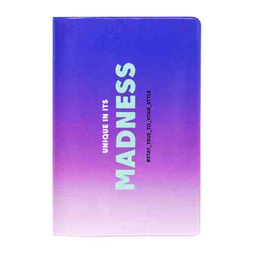 Обложка для паспорта Meshu Madness ПВХ 2 кармана арт. 3454568