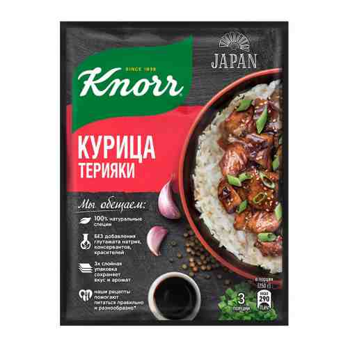 Смесь Knorr Курица Терияки 28 г арт. 3450033