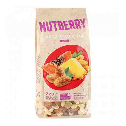 Смесь Nutberry орехи и цукаты сладко-соленая 220 г арт. 3354585