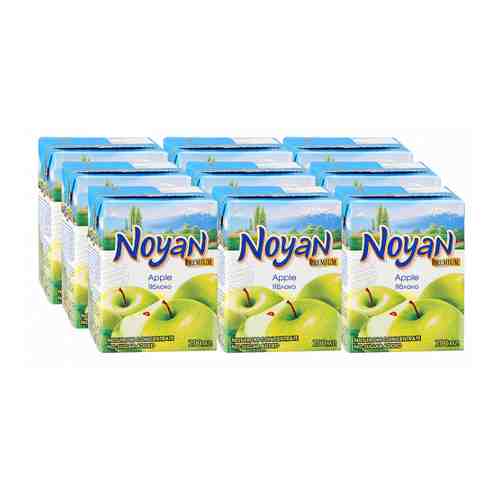 Сок Noyan Premium Яблоко прямого отжима с мякотью 9 штук по 0.2 л арт. 3236338