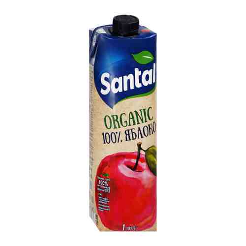 Сок Santal Organic Prisma Яблоко 1 л арт. 3493659