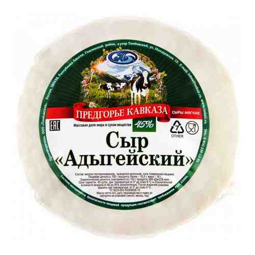 Сыр мягкий Предгорье Кавказа Адыгейский 45% 300 г арт. 3373761