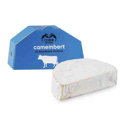 Сыр мягкий с плесенью Coeur du Nord Камамбер из коровьего молока 45% 90 г арт. 3493787