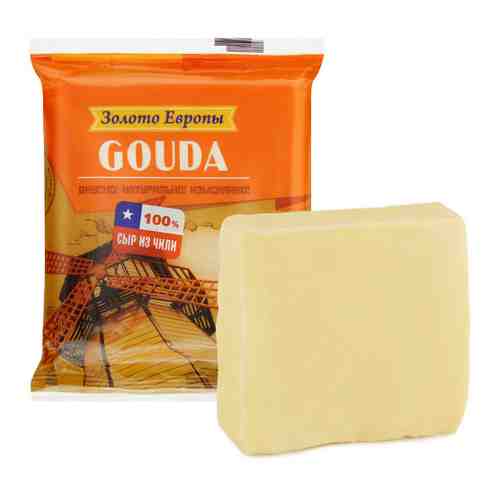 Сыр полутвердый Золото Европы Гауда 45% 240 г арт. 3417790