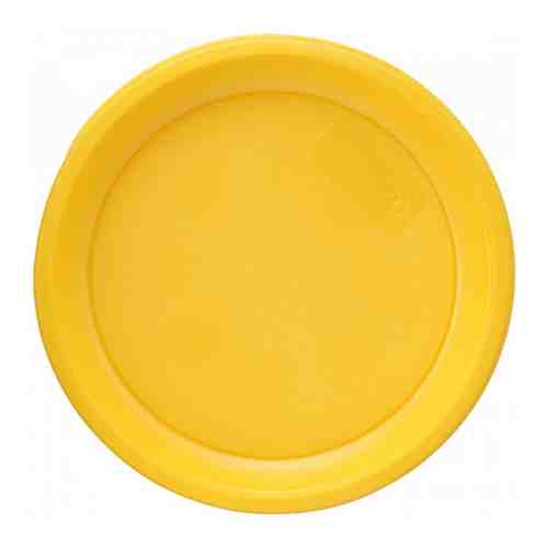 Тарелка одноразовая Мистерия столовая желтая 12 штук арт. 3162927