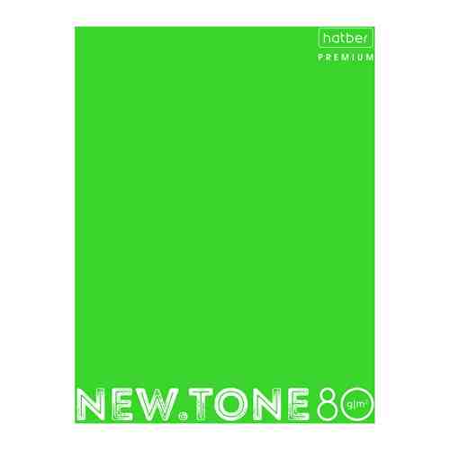 Тетрадь А5 Hatber Premium NEWtone Pastel Лайм 80 листов в клетку на кольцах арт. 3399680