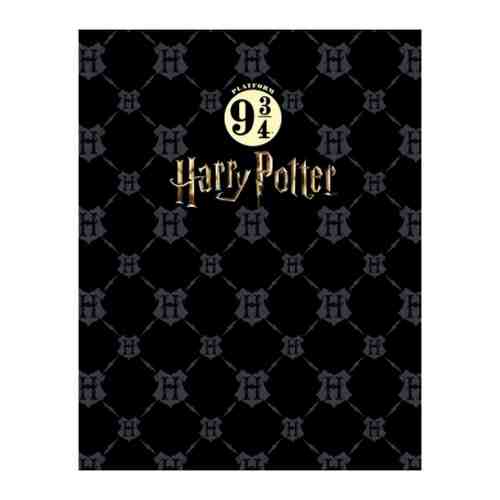 Тетрадь А5ф Hatber Гарри Поттер 160 листов на 4 кольцах арт. 3454957