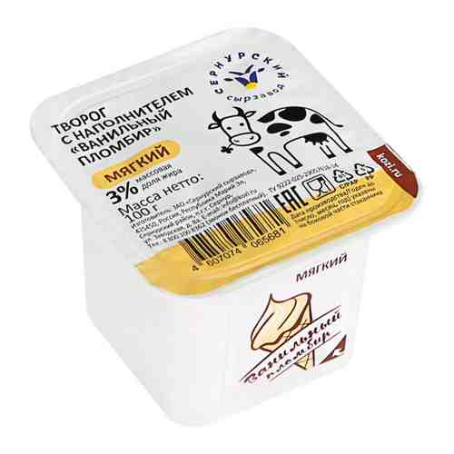 Творог Сернурский сырзавод из коровьего молока ванильный пломбир 3% 100 г арт. 3395899