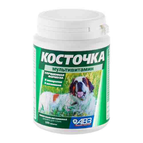 Витаминно-минеральная добавка АВЗ Косточка Мультивитамин для собак 100 таблеток арт. 3499250