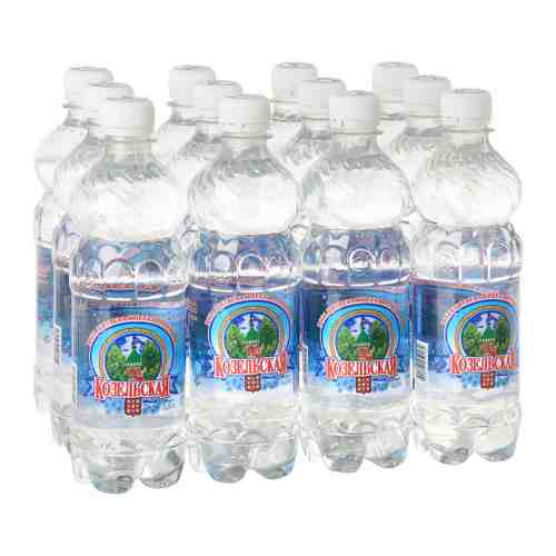 Вода питьевая Козельская негазированная 12 штук по 0.5 л арт. 3324384