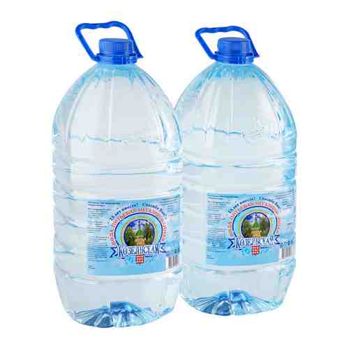 Вода питьевая Козельская негазированная 2 штуки по 5 л арт. 3324388
