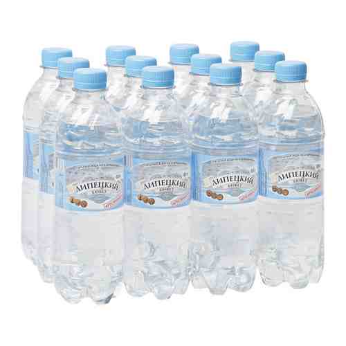 Вода питьевая Липецкий Бювет негазированная 12 штук по 0.5 л арт. 3230863