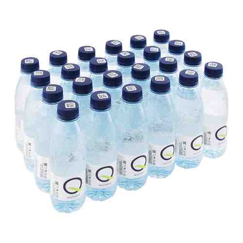 Вода питьевая минеральная Aquanika природная негазированная 24 штуки по 0.25 л арт. 3515630