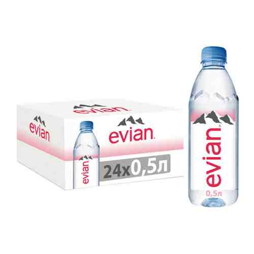 Вода питьевая минеральная столовая Evian природная негазированная 24 штуки по 0.5 л арт. 3415830