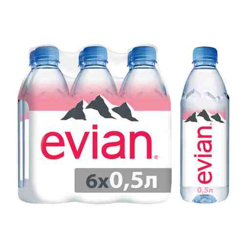 Вода питьевая минеральная столовая Evian природная негазированная 6 штук по 0.5 л арт. 3056580