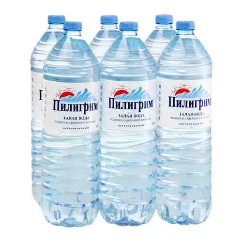 Вода питьевая минеральная столовая Пилигрим природная негазированная 6 штук по 1.5 л арт. 3322782
