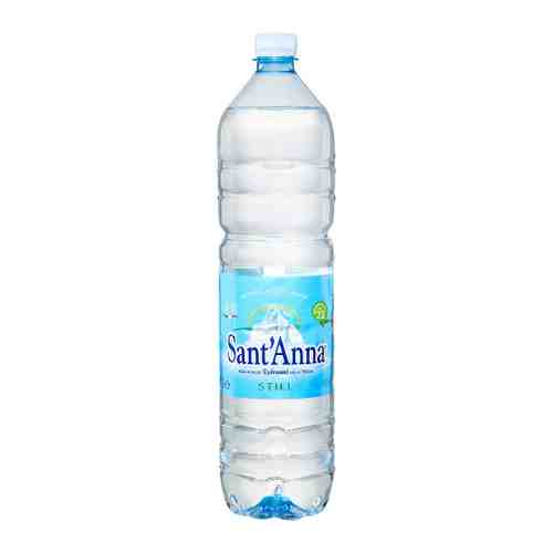 Вода питьевая минеральная столовая Sant'Anna источник Ребруант природная негазированная 1.5 л арт. 3496763