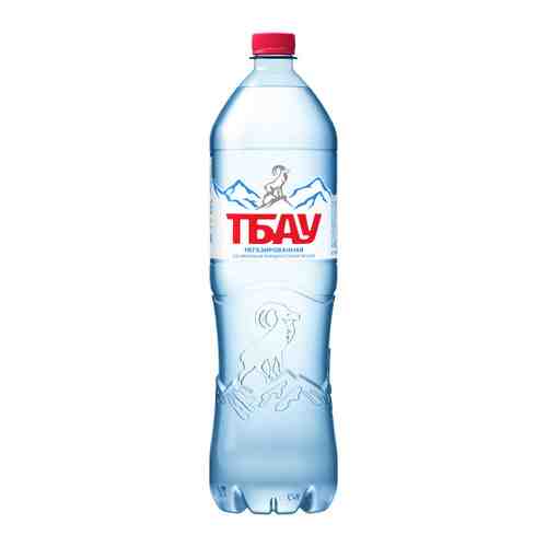 Вода питьевая минеральная столовая Тбау природная негазированная 1.5 л арт. 3507404