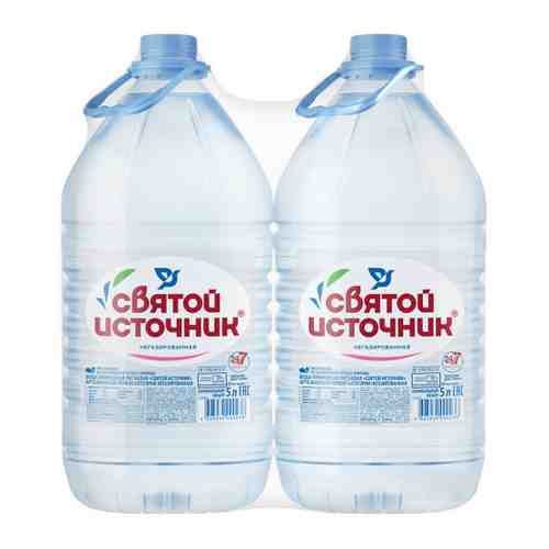 Вода питьевая Святой Источник негазированная 2 штуки по 5 л арт. 3307223