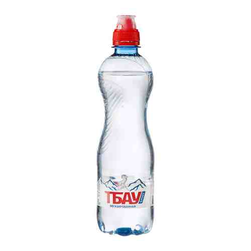 Вода питьевая Тбау Спорт негазированная 0.5 л арт. 3515821